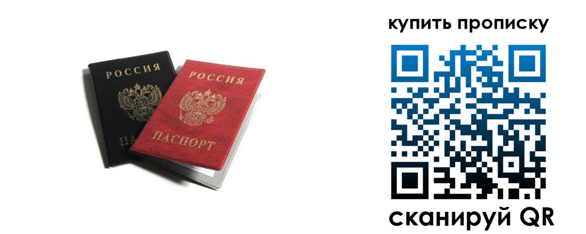 прописка штамп в Зверево